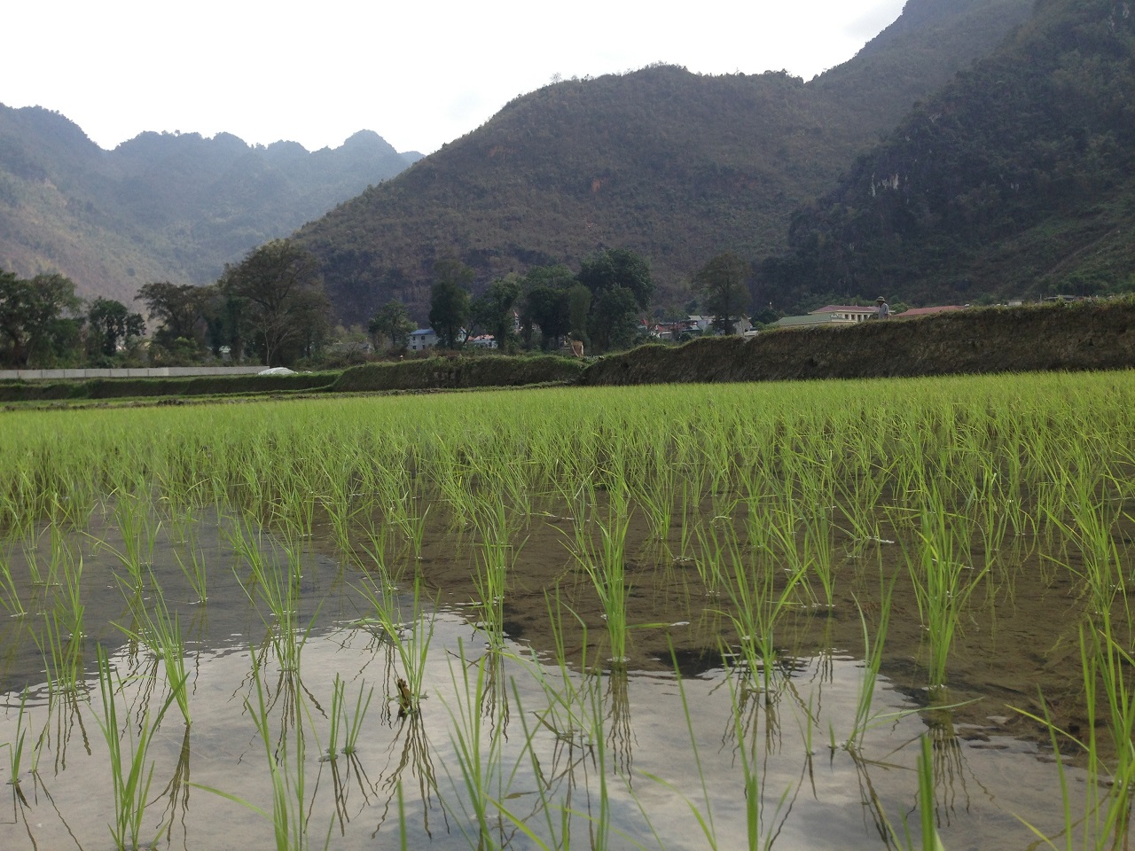 Mai Chau