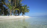 Holland-Cayes-1-jpg