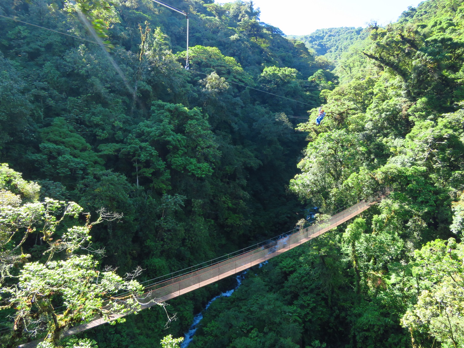 puentes colgantes Boquete