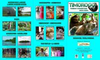 timorogo_-_folleto_cara_1